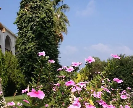 Onar Village 3* Кирения