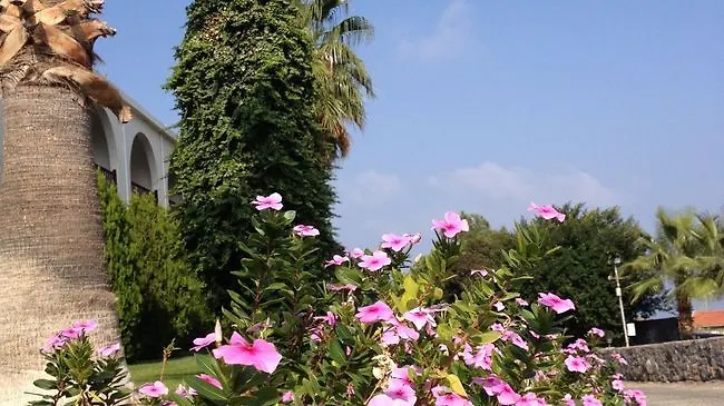 Onar Village 3* קיירניה